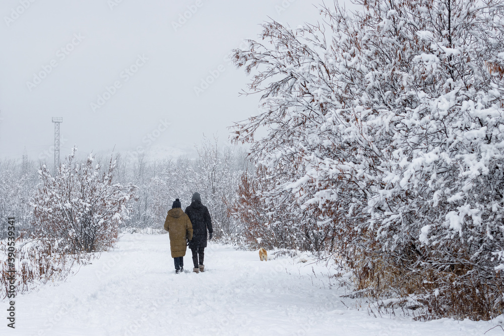 Two people with a dog walk along a snow-covered path in the park during a snowfall. Snow on the branches of trees and bushes. Girls with a pet are walking in the winter park. Cold snowy winter weather
