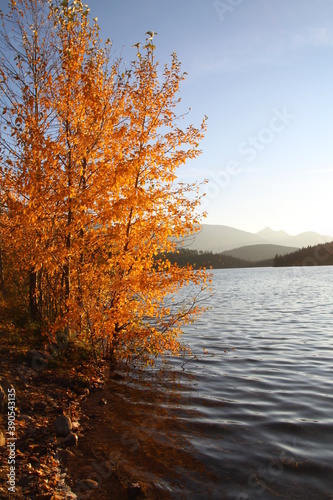 Autumn Colours On The Lake, Jasper National Park, Alberta