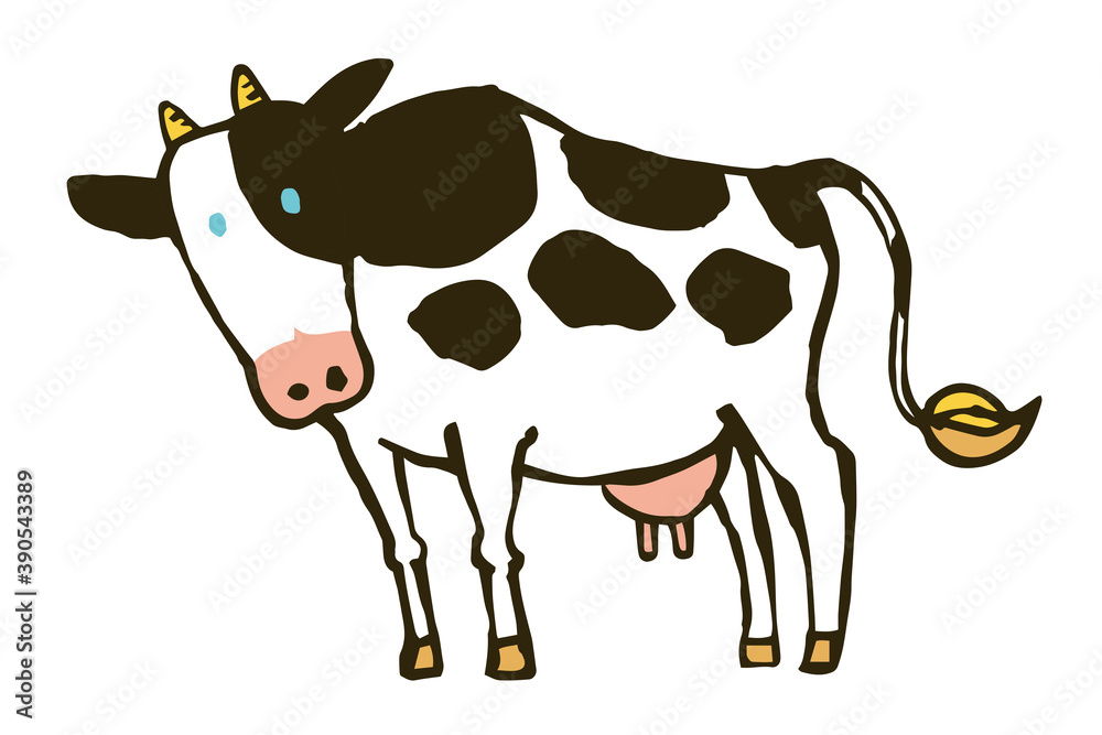 Illustration of a standing cow.  Vector illustration on white background.