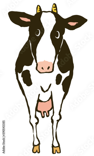 Illustration of a standing cow  seen from the front. Vector illustration on white background.