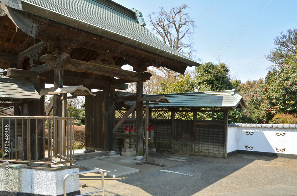 Obraz premium 圓蔵院山門