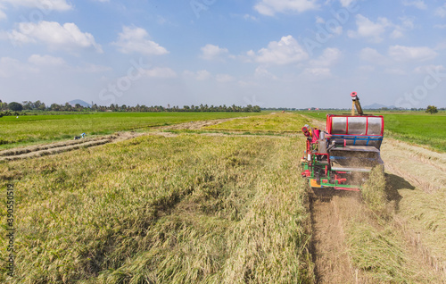 Harvester machine to harvest rice field working from aerial view in Thailand.