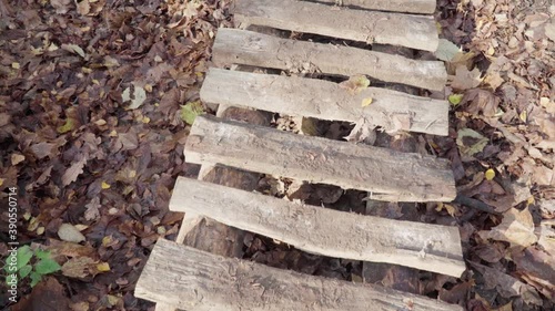 Wooden footbridge over mud