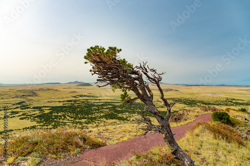 View from top of Capulin Volcano