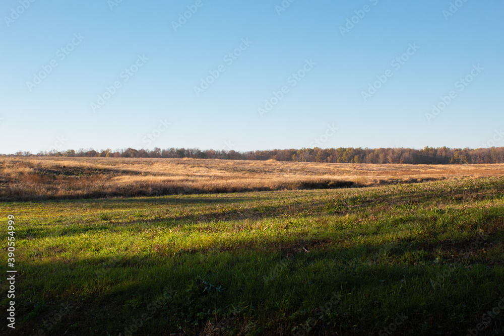 Midwest rolling hills in a field on a sunny autumn day with no people 
