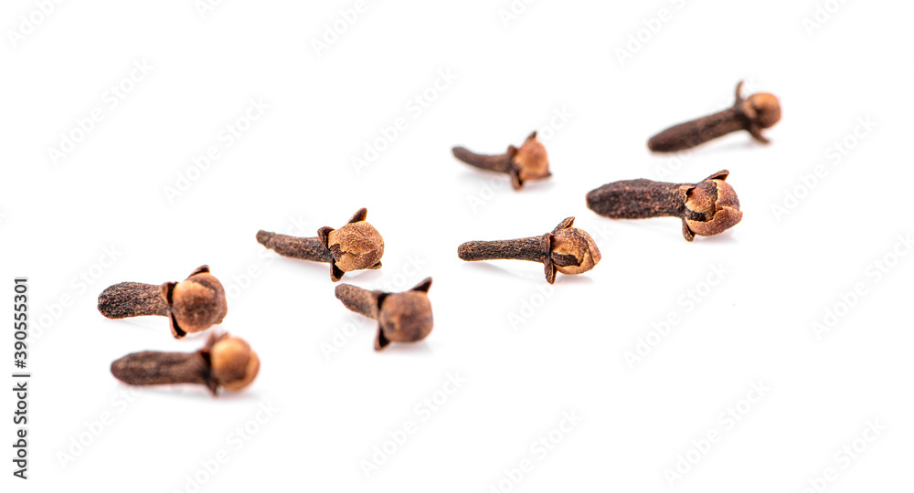 dry cloves an isolated on white background dry cloves an isolated on white background