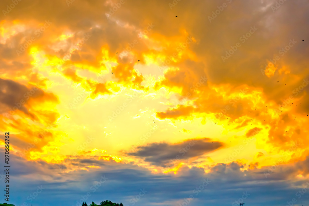 Obraz premium 【夕日イメージ】夕日に照らされた空