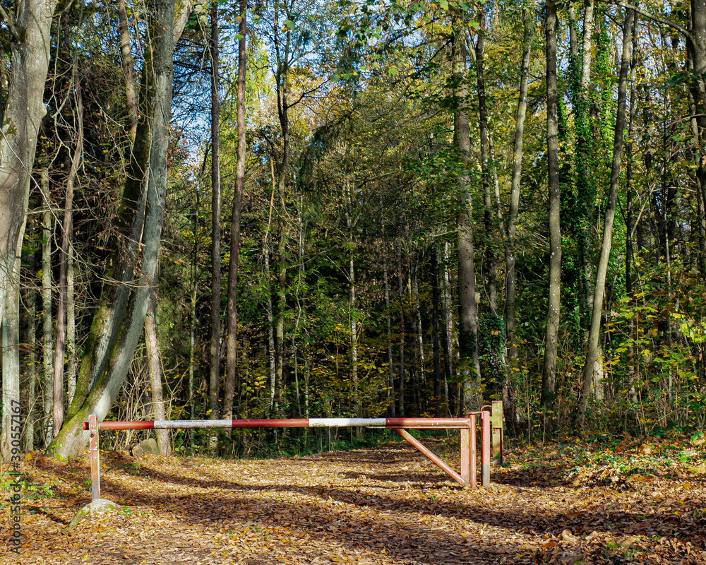 Waldwegabsperrung
