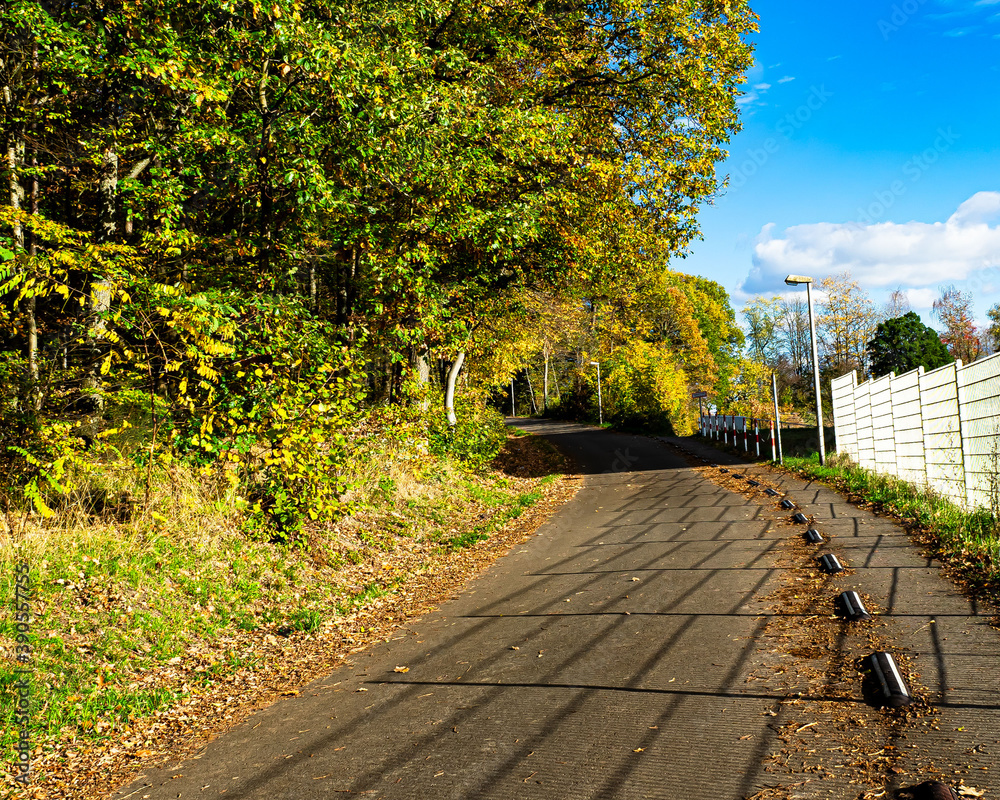 Waldstraße