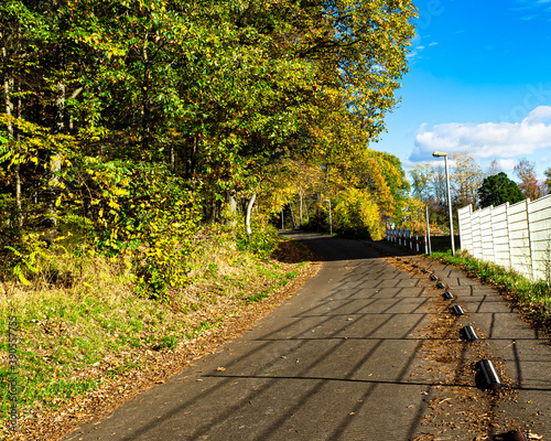 Obraz na płótnie Waldstraße w salonie