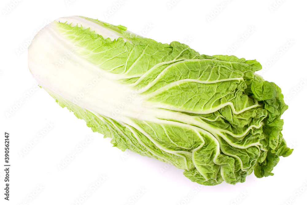 fresh chinese cabbage on a white background fresh chinese cabbage on a white background