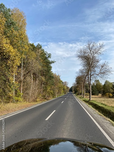 road in autumn