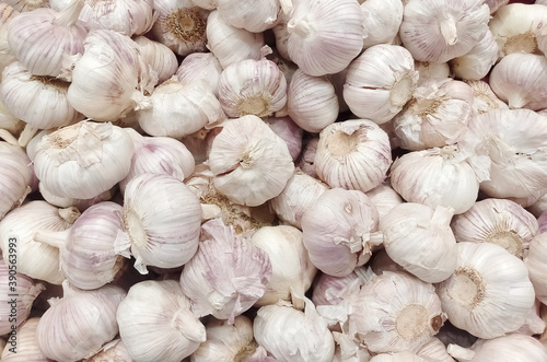 Garlic head Raw vegetable organic fresh produce backgrounds