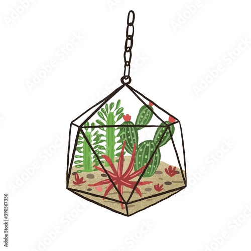 Stylish hanging glass geometric florarium isolated on white background. Plant...