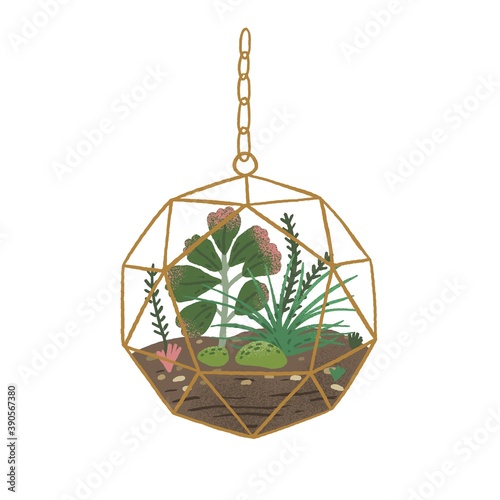 Stylish hanging glass florarium isolated on white background. Glass terrarium with succulents in modern scandinavian style. Flat vector cartoon illustration of decorative mini garden