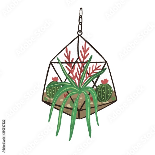 Glass geometric hanging florarium in modern scandinavian style. Plant terrari...