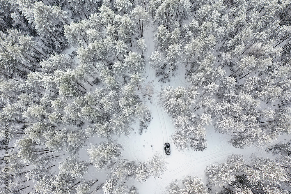 Fototapeta premium car in the evening forest in winter, top view, copter, aero photo, landscape winter forest
