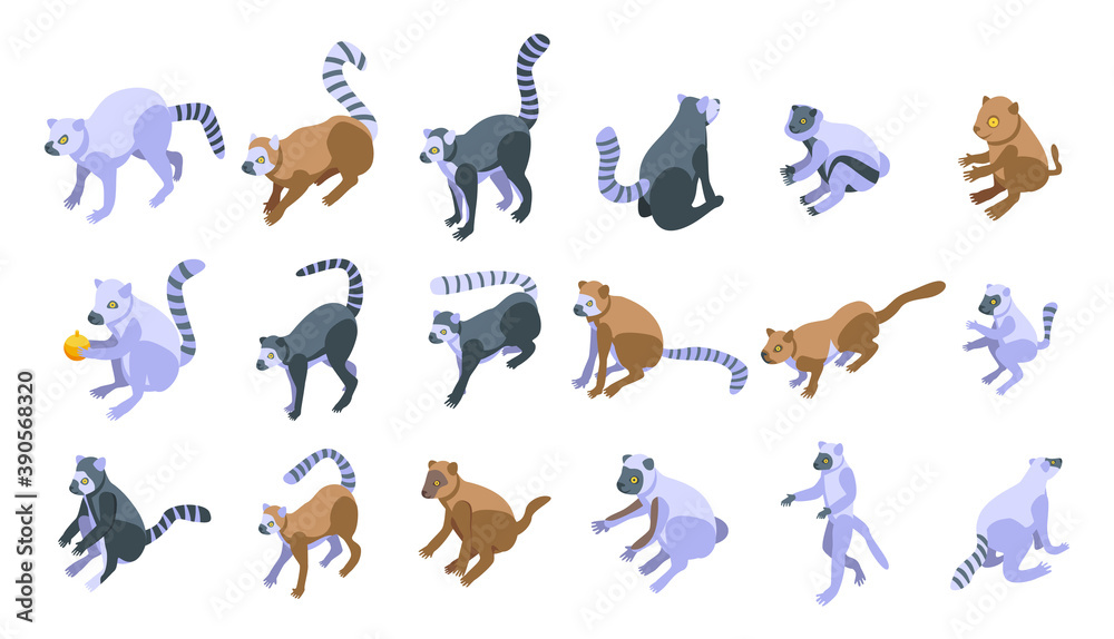 Fototapeta premium Lemur icons set. Isometric set of lemur vector icons for web design isolated on white background