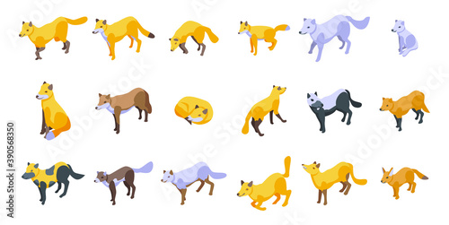 Fox icons set. Isometric set of fox vector icons for web design isolated on white background