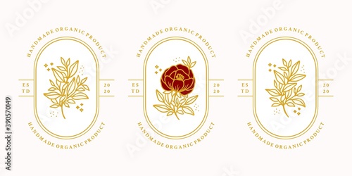 Hand drawn vintage gold botanical rose flower logo template and feminine beauty brand element collection