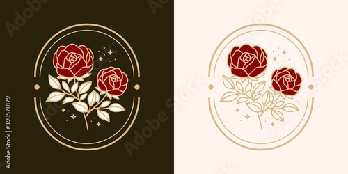 Hand drawn vintage botanical rose flower logo template and feminine beauty brand element collection