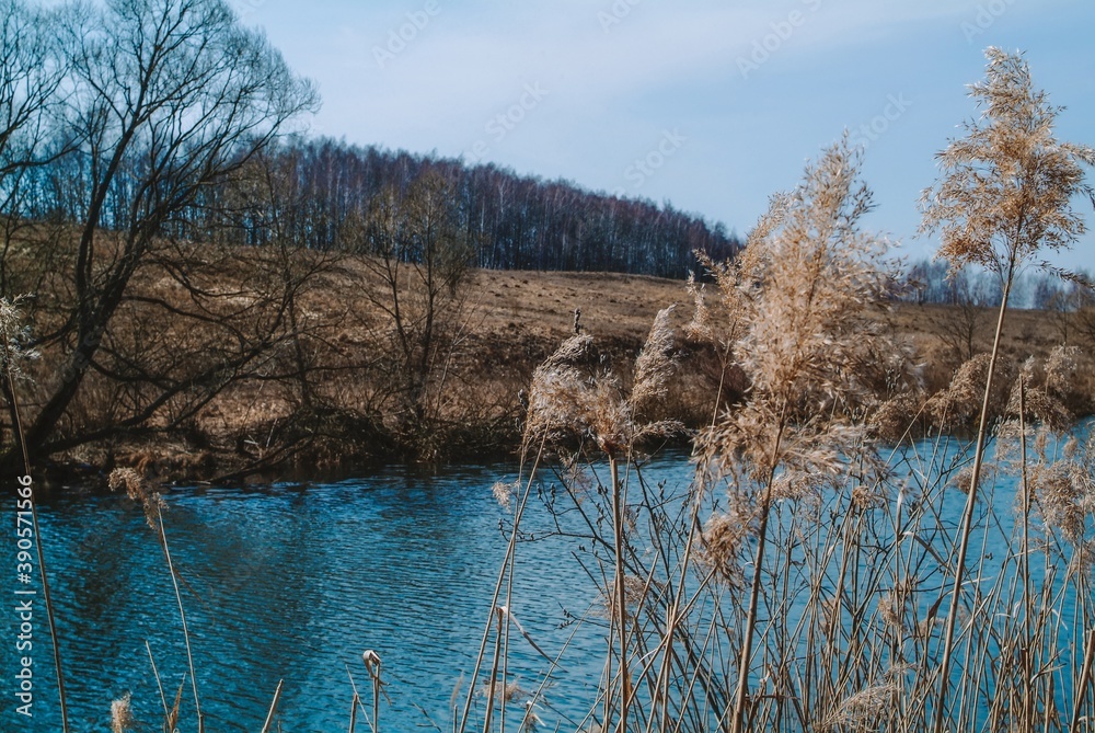 little river in spring in a clear morning