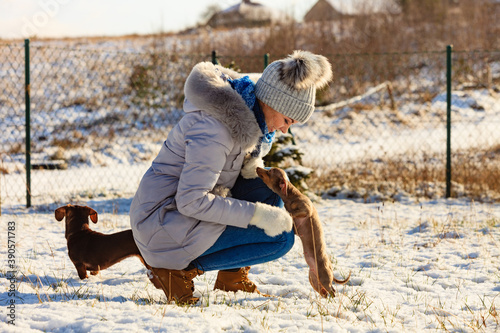 Photography Woman playing with dogs during winter