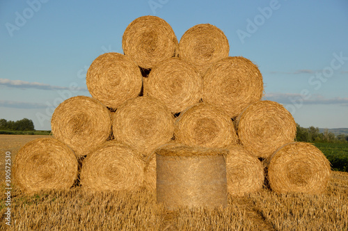 pile of straw bales in the field