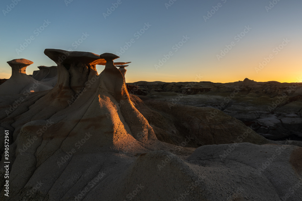 The Wings rock formation at sunrise, Bisti/De-Na-Zin Wilderness Area, New Mexico, USA
