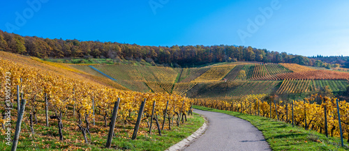 Struempfelbach - Vineyards at Weinstadt region - beautiful landscape in autum close to Stuttgart, Baden-Wuerttemberg, Germany