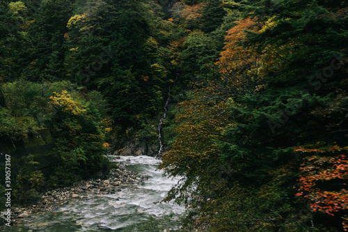 Nature view of Nagano prefecture in autumn.