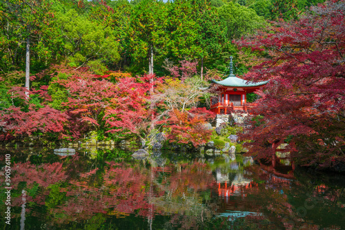 京都 醍醐寺 弁天堂の紅葉