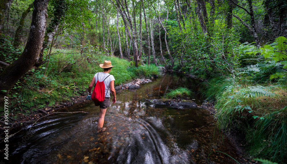 Walking into the stream in the deep forest Walking into the stream in the deep forest