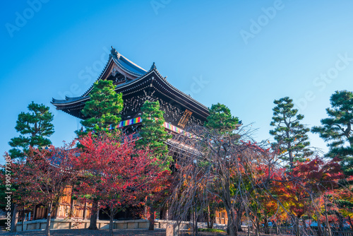 京都 金戒光明寺の山門と紅葉