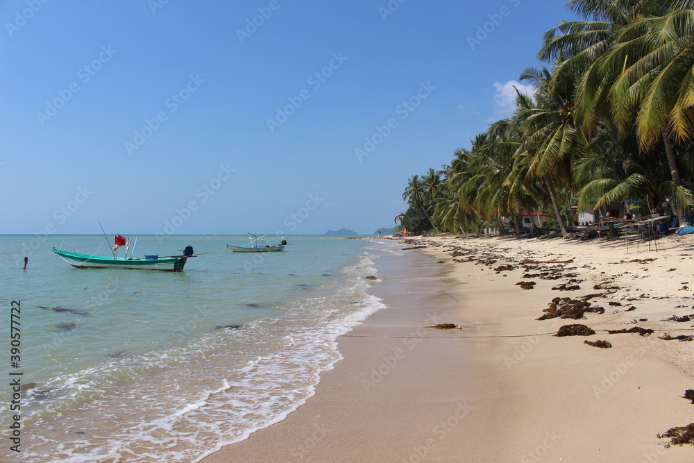 Fototapeta premium Plage de Koh Tao