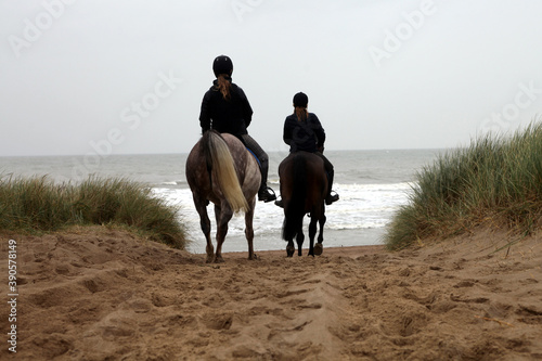 Chevaux sur une plage de la Mer du Nord