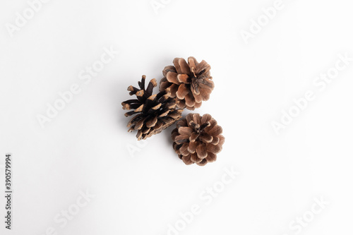 Spruce cone studio image. Christmas cones.