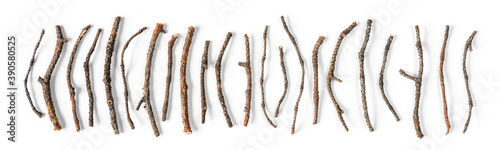 Various dry branches on a white background. Top view, flat lay.