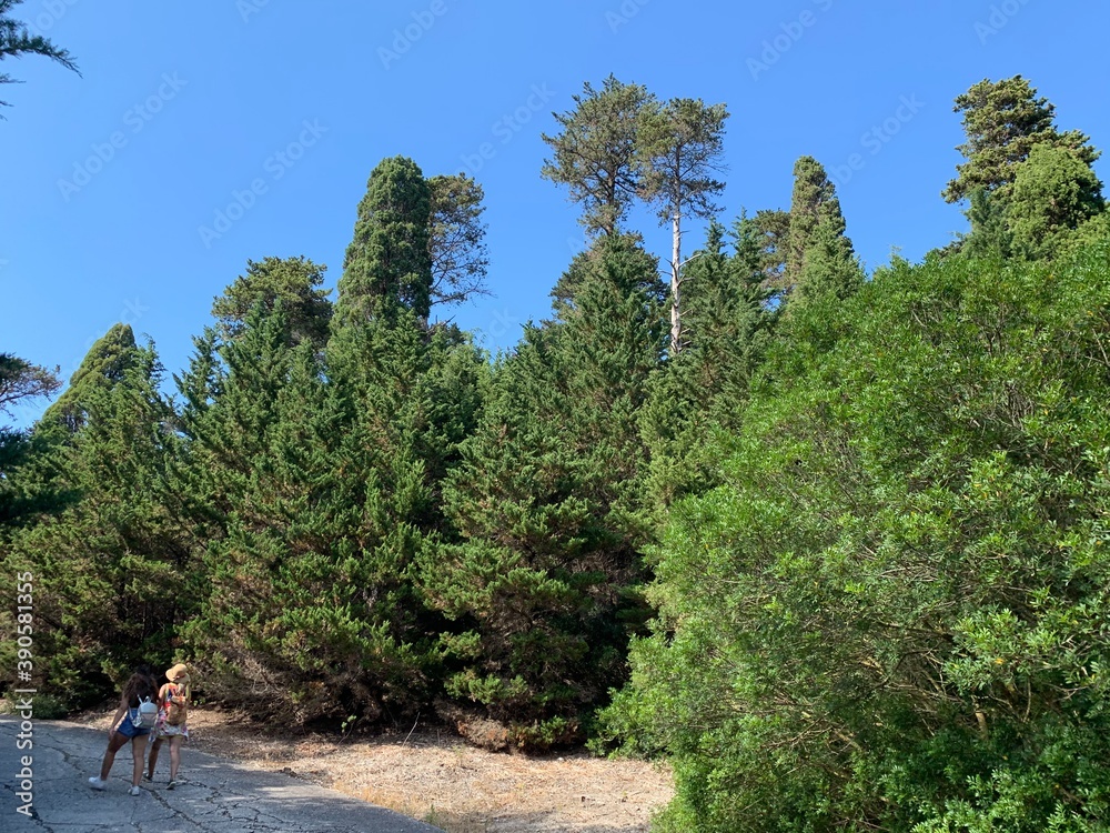 Fototapeta premium hiking in the mountains