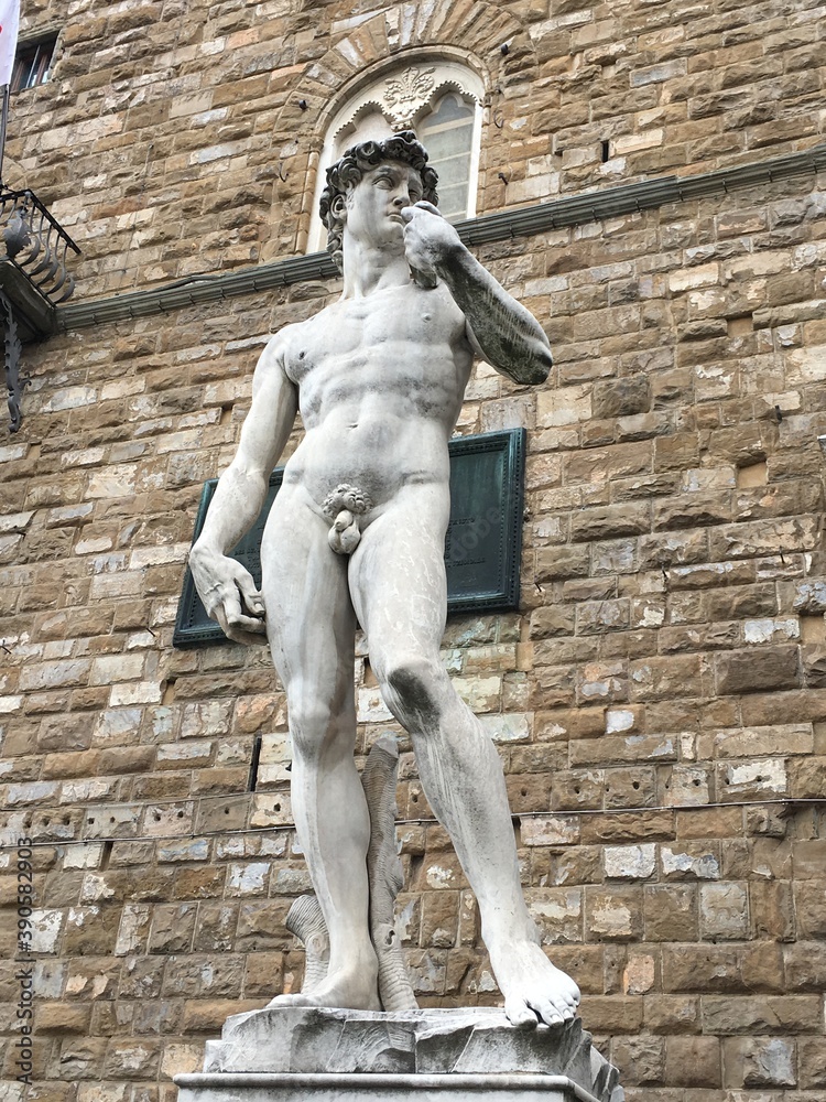 Naklejka premium statue of david