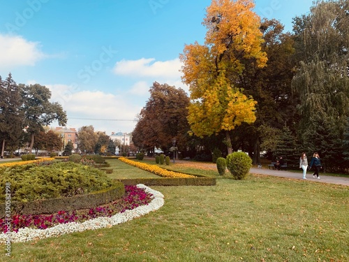 park in autumn