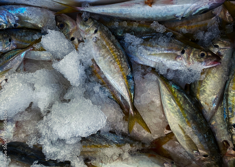 Background texture of fresh whole fish on ice