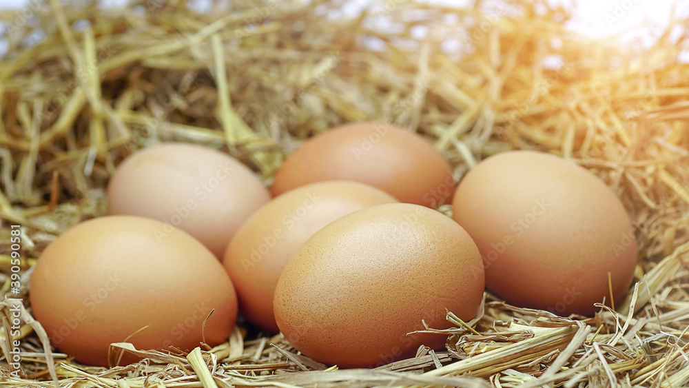 eggs on a haystack.Eggs in a nest. eggs on a haystack.Eggs in a nest.