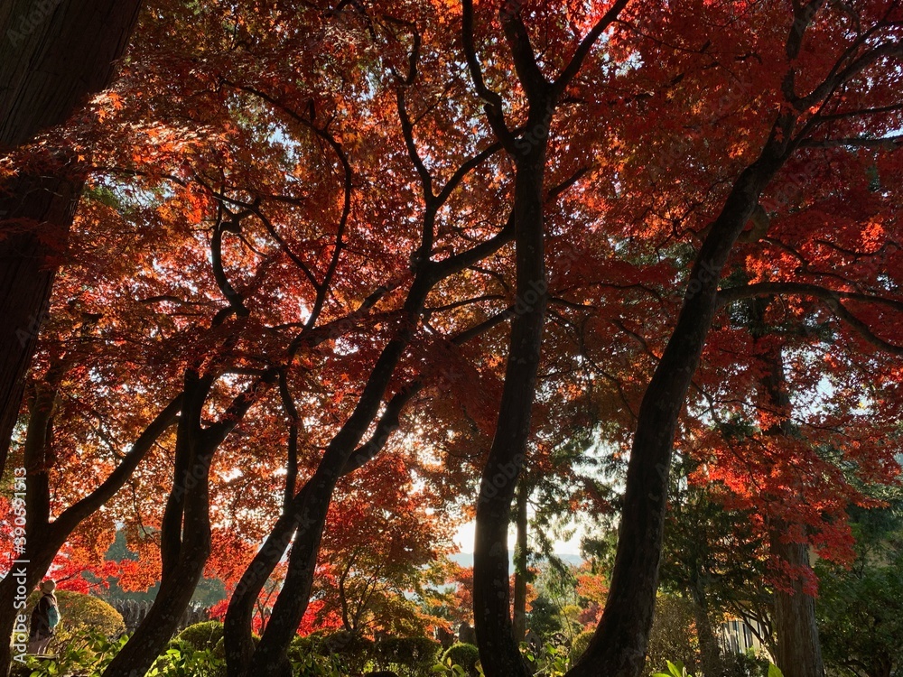 茅野市清龍山長円寺