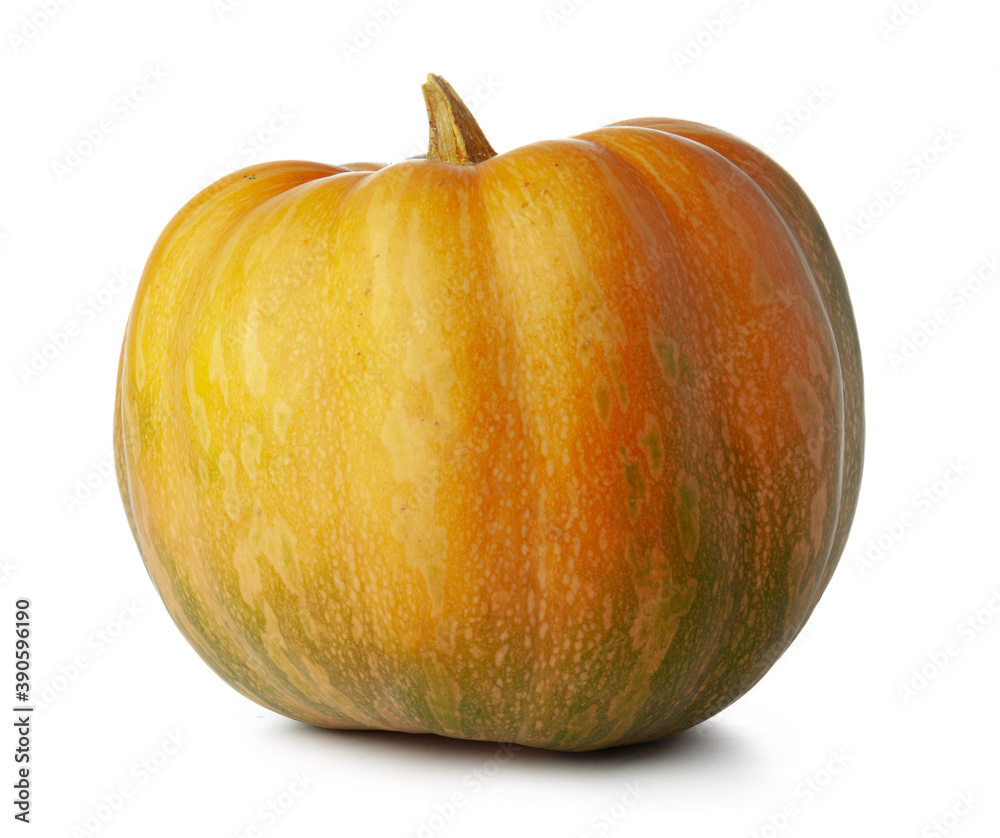 Studio shot of a pumpkin isolated on white background Studio shot of a pumpkin isolated on white background