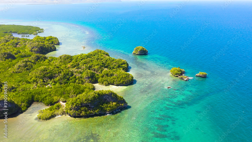The coast of a tropical island covered with rainforest and rocks in the blue sea. Bohol,Philippines.