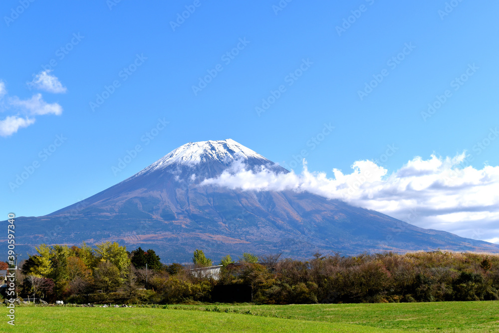 Fototapeta premium 朝霧高原から見える秋の富士山