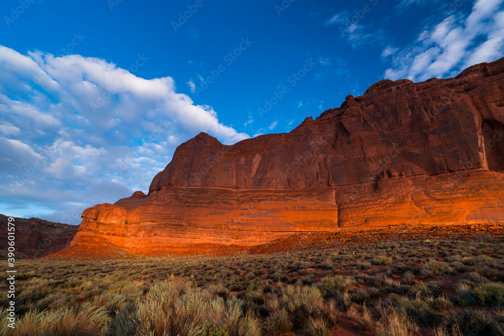 Fototapeta premium Arches National Park, Grand County, Utah, Usa, America