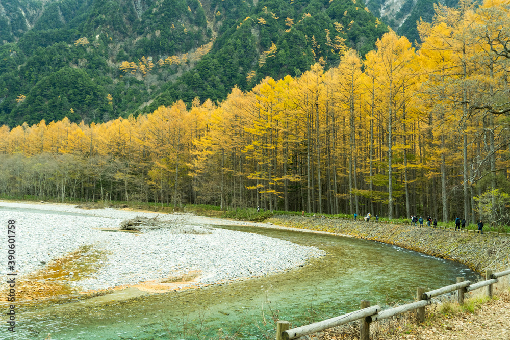 Foto de Beautiful nature of Kamikochi Japan, Azusagawa river and Larch trees,Kamikochi National