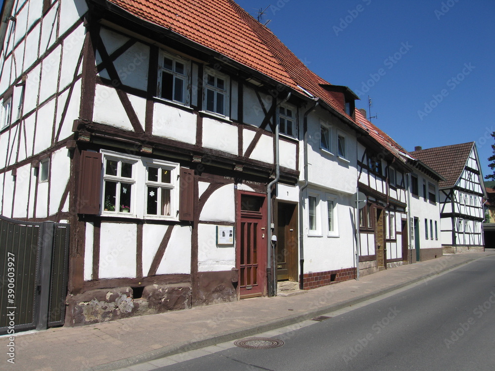 Vor dem Gatter in Wanfried in Hessen